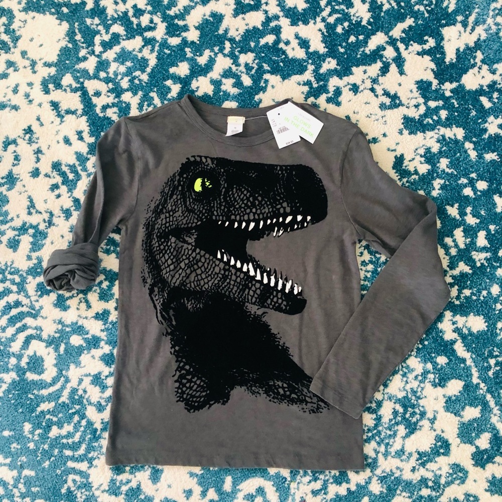 Crewcuts NWT boys size 12 long sleeve tee